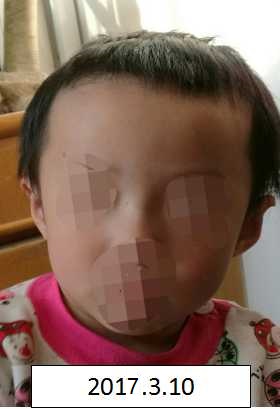 免费观看骚逼被操的叫